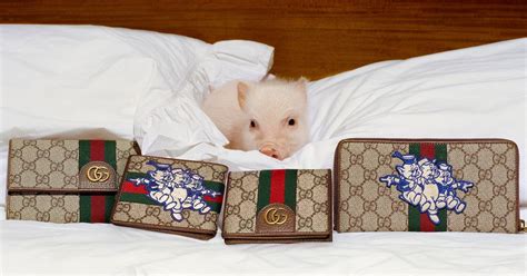 gucci pig brooch.